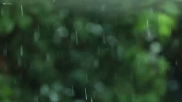 Медитация " Летний дождь".mp4