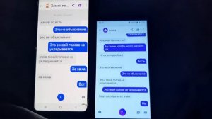 Алиса и хомяк.милая беседа.