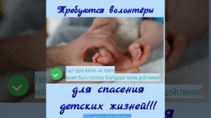 Требуются волонтеры