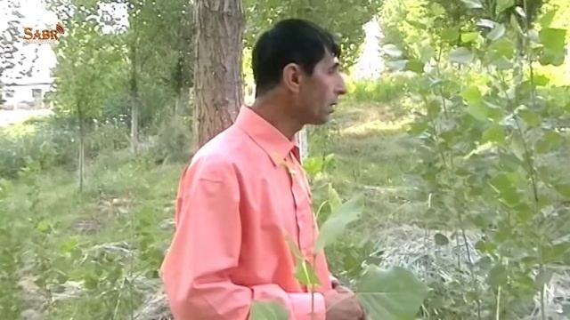 Айё эй Модари пирам - Сангилло Тешаев | Ayo ei Modari piram - Sangillo Teshaev