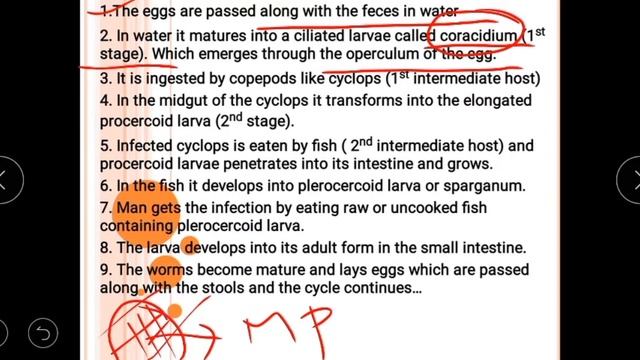 DIPHYLLOBOTHRIUM LATUM PARASITOLOGY | 2ND MBBS | Most Important Class for MBBS Students | смотреть онлайн