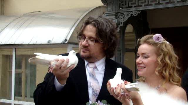 Свадьба 1404. Запускаем голубей смотреть онлайн