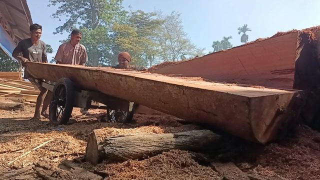 Wow...Wood Weighing More Than A Hundred Tons, Only Two people Can lift It. смотреть онлайн
