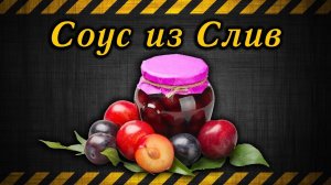 Соус из слив / The plum sauce