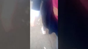 Пожарная тревога в школе !