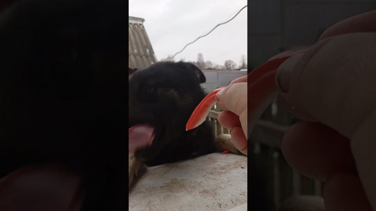 Можно смотреть онлайн