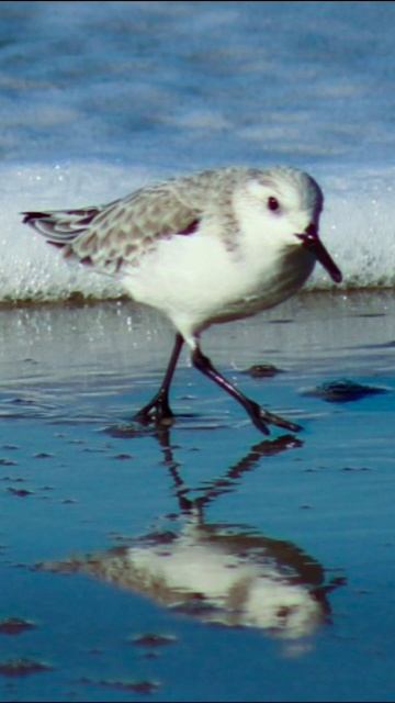 #artteraphy #photography #photooftheday смотреть онлайн