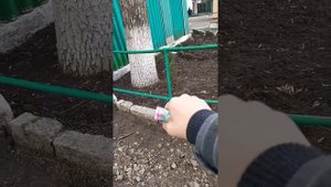 Взрываем хлопушки