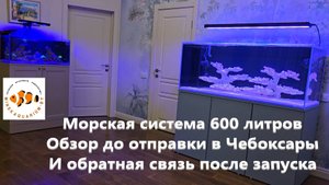 Морской аквариум 600 литров. Обзор до отправки и видео после запуска.