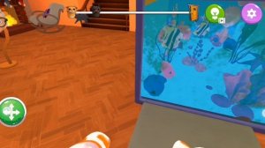 играем в игру против злова кота😾