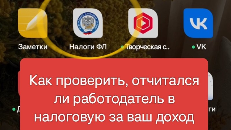 Хотите узнать, сообщил ли ваш работодатель в налоговую о ваших доходах?