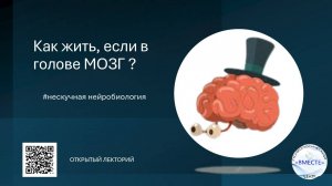 Как жить, если в голове мозг