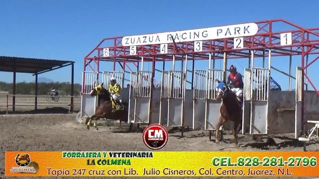 C COMPADRES VS C EBANO 250 YDS смотреть онлайн