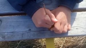 //ИГРА В КАЛЬМАРА//*недо-пародия*