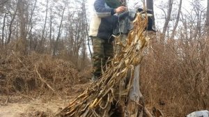 Колодное пчеловодство. Первая весення подкормка.