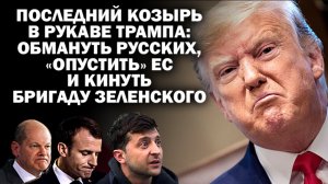 О последнем козыре  в рукаве Трампа: обмануть русских, "опустить" ЕС и кинуть бригаду Зеленского