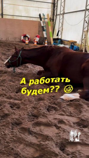 А работать будем?? 🤣