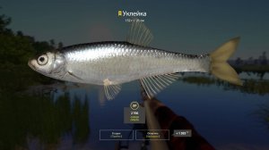 Русская рыбалка 4-оз.Медвежье-ТРОФЕЙНАЯ УКЛЕЙКА