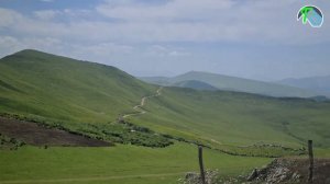 Стрижка овец Гереевых 2023г