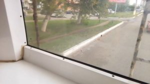 Поездка на троллейбусе Тролза 5275.03 Оптима № 1221, маршрут 5. (Съëмка снял летом 2024)