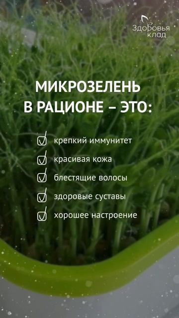 Что будет, если есть микрозелень ежедневно?