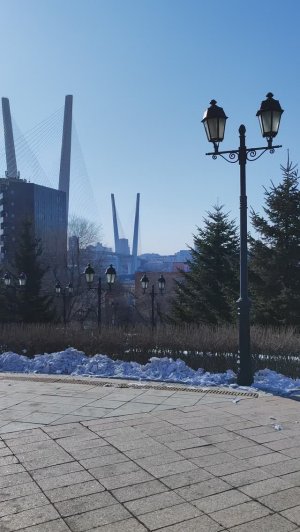 Владивосток 9 февраля 2025.