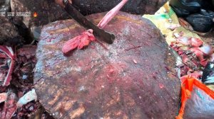KASIMEDU 🔥 MR. PRAKASH | BIG SIZE BARRACUDA SHEELA FISH CUTTING VIDEO | 4K VIDEO | IN KASIMEDU