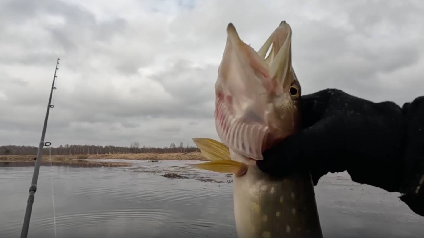 Открытие ЛОДОЧНОГО СЕЗОНА 2025 на МАЛОЙ РЕКЕ! Рыбалка на СПИННИНГ в ФЕВРАЛЕ! Ловля капризной ЩУКИ! смотреть онлайн