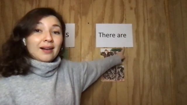 6th grade class - there is and there are - few and many смотреть онлайн