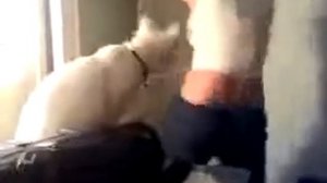 Озабоченный.