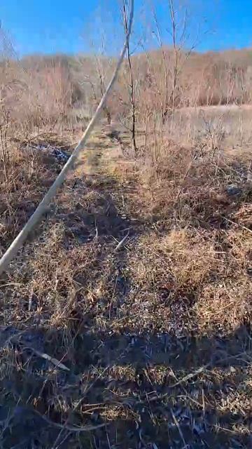 Цветы без повода смотреть онлайн