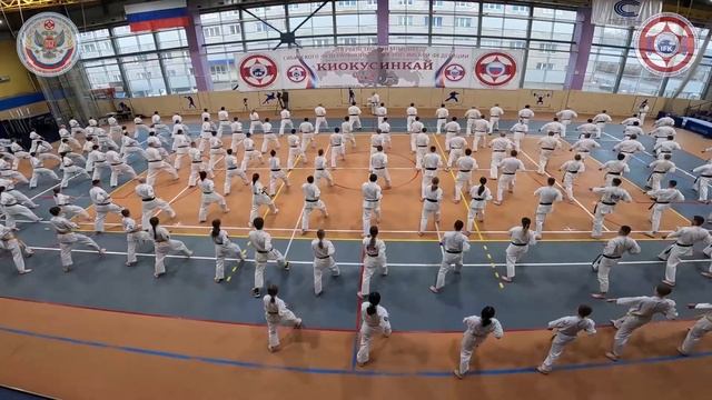 Семинар-аттестация для спортсменов и тренеров СФО. Под руководством Александра Танюшкина. смотреть онлайн