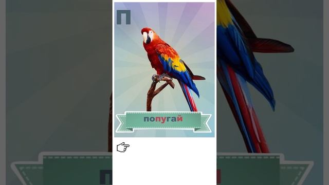 Тест по чтению на русском языке! Карточки Тимирязева. Азбука. Букварь. Алфавит. смотреть онлайн