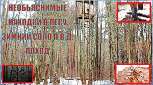 ЗИМНИЙ СОВМЕСТНЫЙ П.В.Д. С СЕРГЕЕМ В ЛЕС 🌲 ОБСЛЕДОВАНИЕ НОВОЙ ЛОКАЦИИ И ОТДЫХ В ЛАГЕРЕ С КОСТРОМ