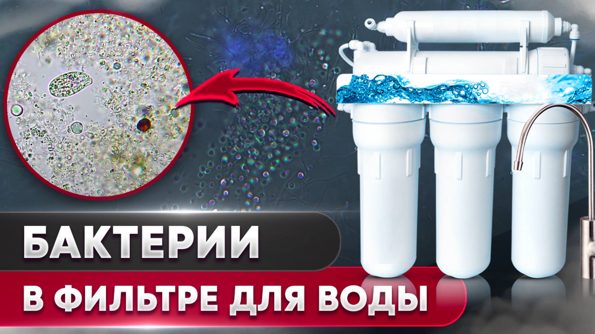 Фильтр для воды под микроскопом смотреть онлайн