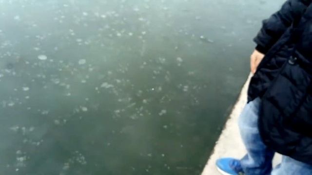 Урок Самообороны #1 смотреть онлайн