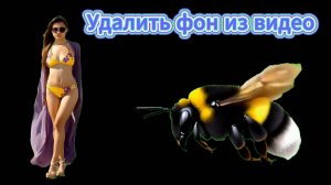 Как удалить фон из видео за 33 секунды: быстрый способ при помощи нейросети.