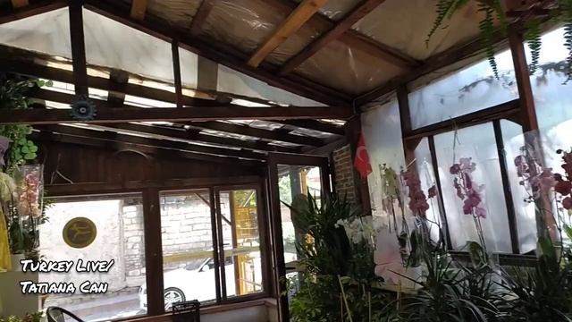 VLOG_Магазин LC Waikiki_День Рождения😁_Покрасила Волосы_Домашнее видео _Видео двух дней _Турция смотреть онлайн