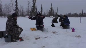 МОХТИК НА ЭТОЙ ЯМЕ ДОЛБИТ КАК ИЗ ПУЛЕМЕТА!!! ПРОБИЛИ ТРОПУ 3 Км И НЕ ЗРЯ!!! ЭТО (БАРСУКИ)