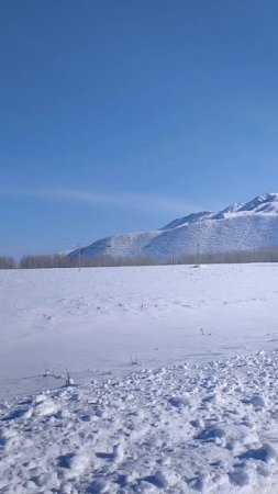 НА ВЪЕЗДЕ В СЕЛО БАЛГЫН