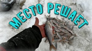 Рыбачим на выходных с сыном