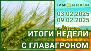 Итоги недели с ГлавАгроном. 03.02.2025 - 09.02.2025