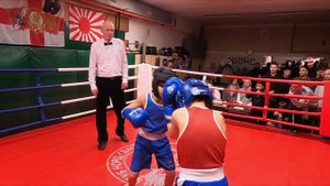 Бокс. Бой Тимура #4.