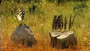Букашки 1 сезон, 5 серия   Некрасивый