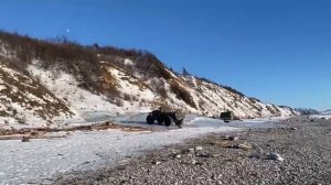 на льду поведение так себе )