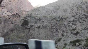 Ману дарё...