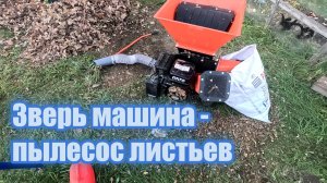 Испытываем измельчитель на дубовых листьях.
