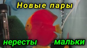 Неплохое начало февраля