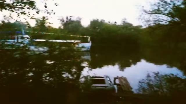 Сало уронили!