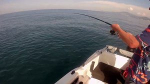 Рыбный котел, отгрызаные крючки и ставки. Трофейная рыбалка.